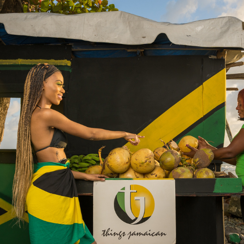 dryland tourist jamaica